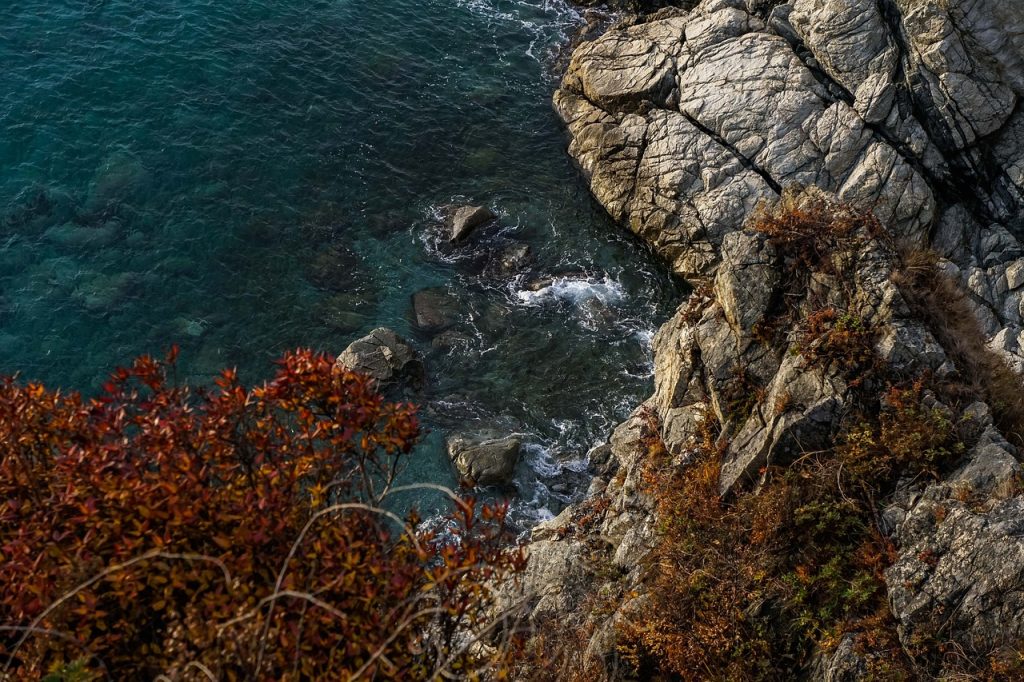sea-7375377_1280